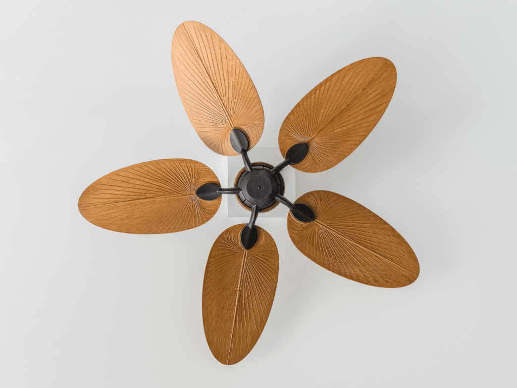 ceiling fan florida heat save energy