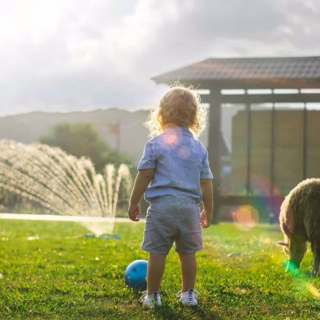 677194cd-d2af-4b2b-a459-ede2abdbe1aa-scaled