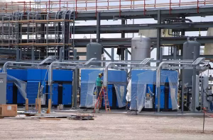 Frank-Gay-professional-Services (1)