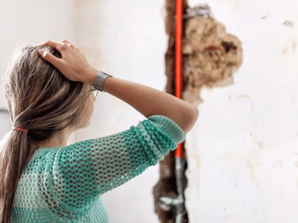 water-damage-vacation-to-do-list-frank-gay-services-1 (1)